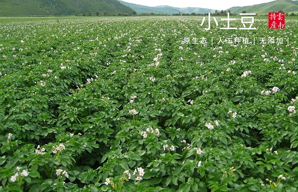 8868СʳƷ