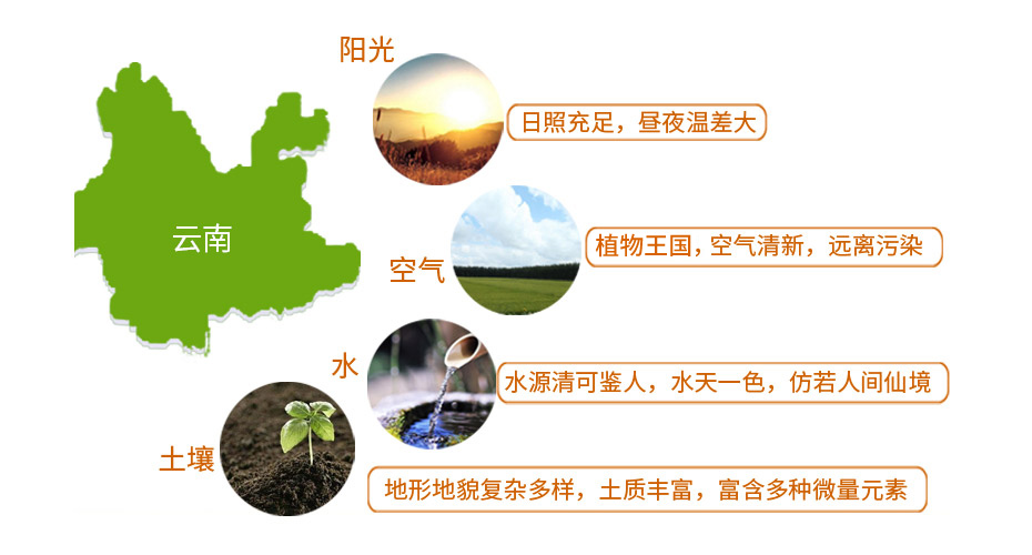8868ʳƷ
